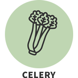 Contains celery